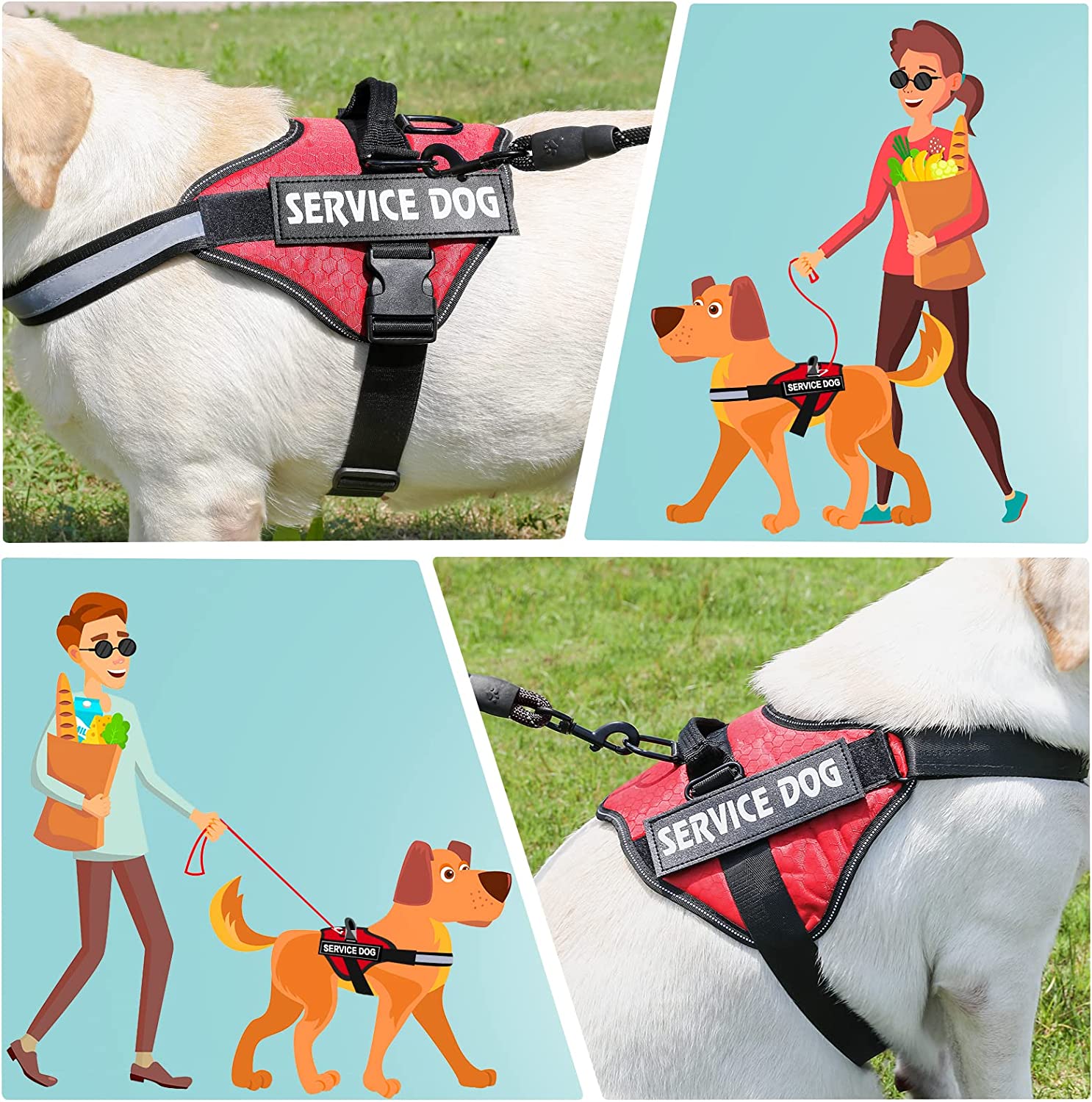 elovpet™ - Ultimate No Pull Customised Dog Harness