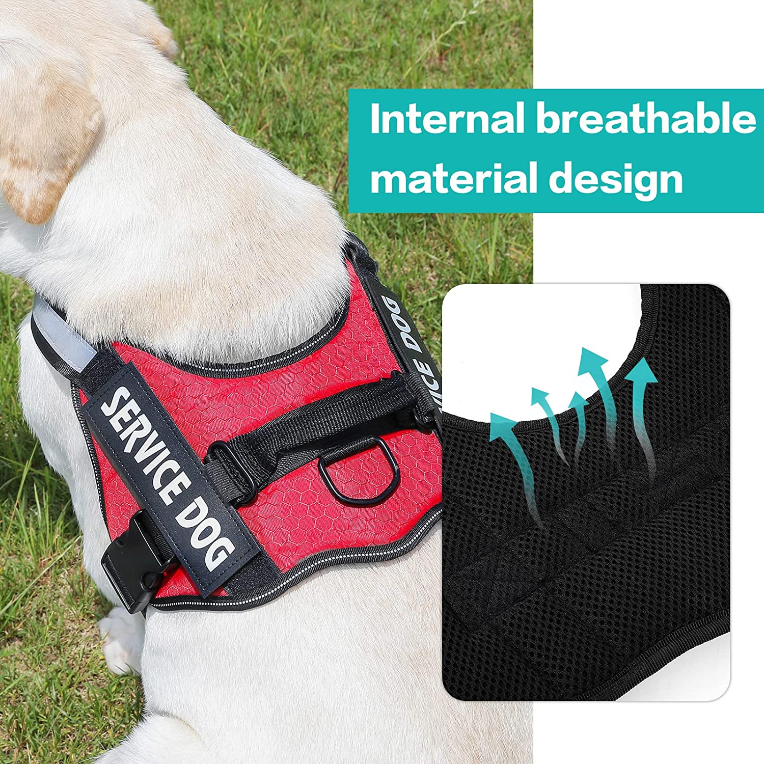 elovpet™ - Ultimate No Pull Customised Dog Harness