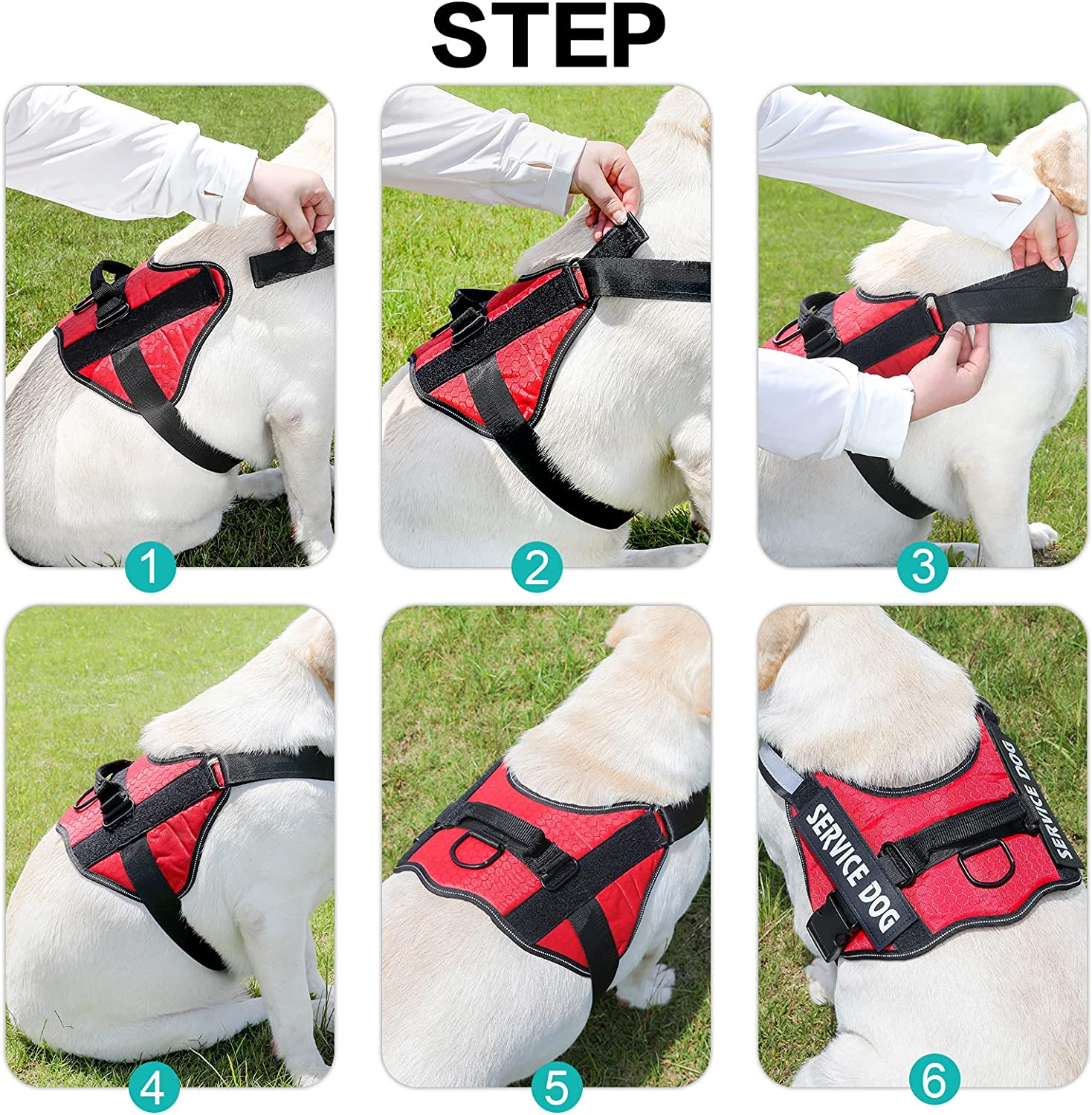 elovpet™ - Ultimate No Pull Customised Dog Harness