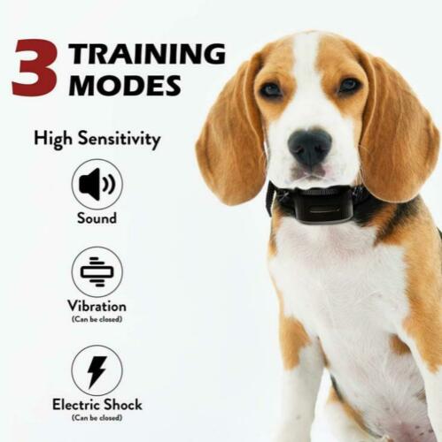 elovpet™ - Anti-Bark Dog Training Collar